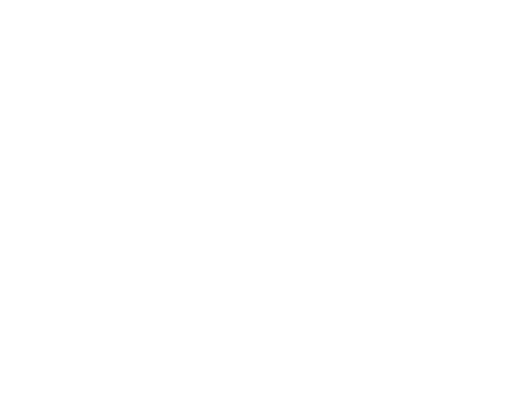 Ari Claro